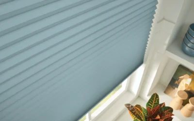 Winter Window Solutions for Prosper Homes