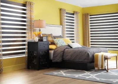 dual shades with drapery