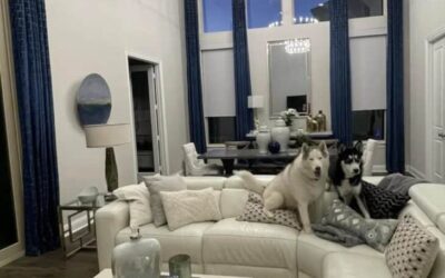 The Big Window Dilemma: How to Insulate Two-Story Living Rooms in Prosper & Celina This Winter